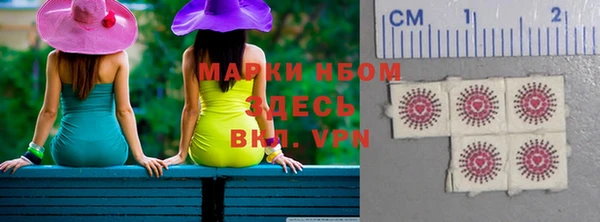 крисы Аркадак