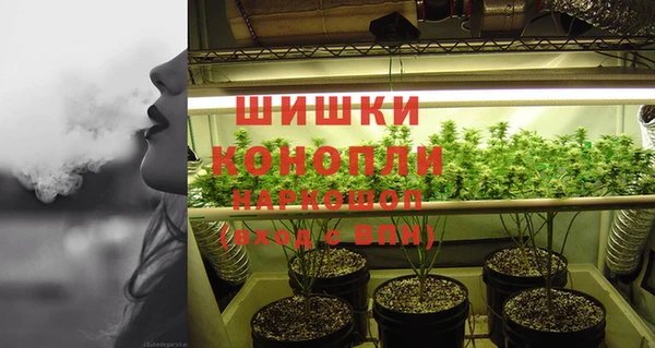 ПСИЛОЦИБИНОВЫЕ ГРИБЫ Армянск