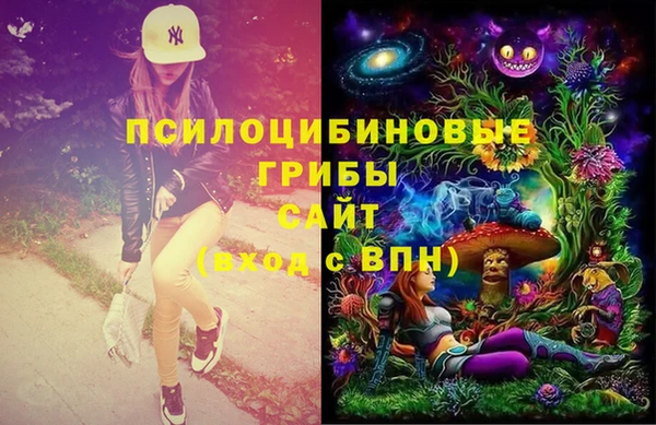 ПСИЛОЦИБИНОВЫЕ ГРИБЫ Армянск